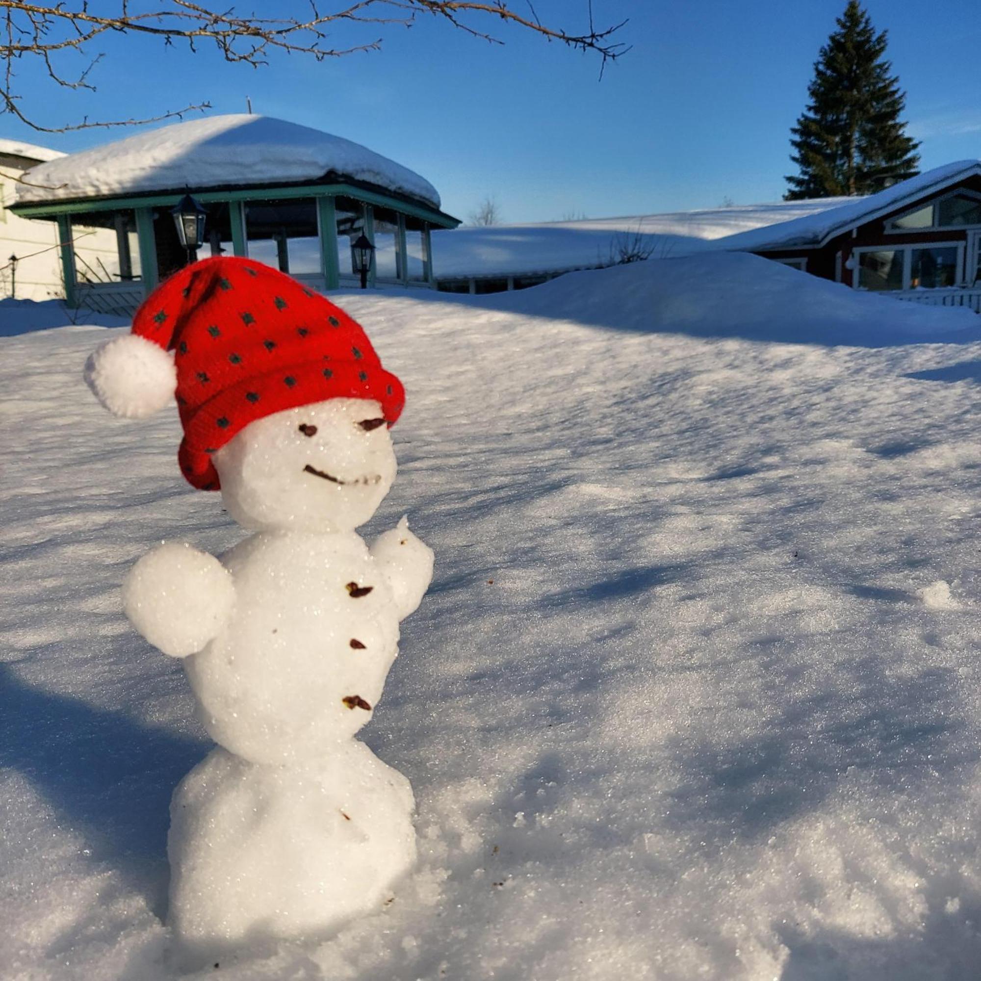 Maalaiskartano Pihkala Hotel Kestilä Exterior foto